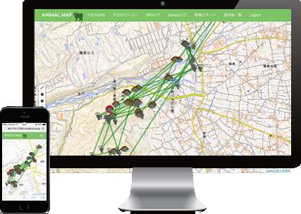 地図読み山行 沢登り教室
